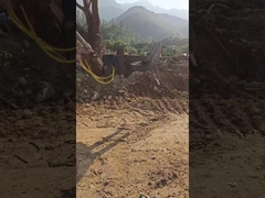 Hydraulisch type WuYing graver, vijf klauwen houtgraver, pak voor graver